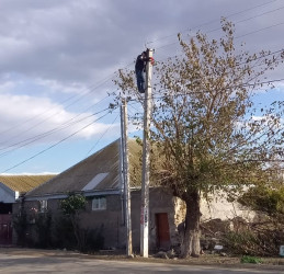 Tap Qaraqoyunlu kəndində elektrik təsərrüfatı sahəsində cari təmir işləri həyata keçirilir