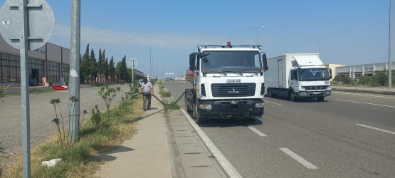 Goranboyda “Şəhərsalma və Memarlıq ili “ çərçivəsində yol kənarlarında əkilmiş ağaclara aqrotexniki qulluq göstərilir və suvarılma işləri aparılır