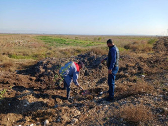 Goranboyda,   "Yaşıl dünya naminə həmrəylik ili" ilə bağlı, yeni yaşıllıq zolaqlarının salınması və mövcud infrastrukturun genişləndirilməsi işləri davam etdirilir.