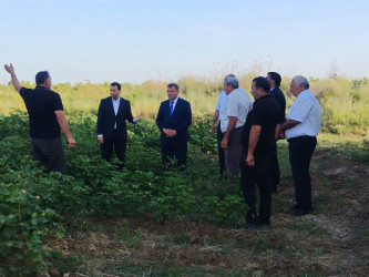 Goranboyda fermerlərlə Dövlət Proqramının icrasına həsr olunmuş maarifləndirici görüş keçirildi