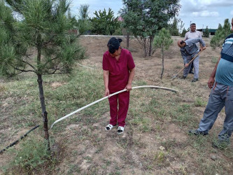 Goranboyda "Yaşıl dünya naminə həmrəylik ili" ilə bağlı, silsilə tədbirlər davam etdirilir.