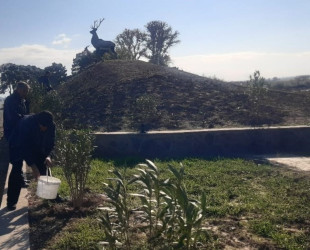 Goranboyda, "Yaşıl dünya naminə həmrəylik ili" ilə bağlı, yeni salınmış yaşıllıq zolaqlarına aqrotexniki qulluğun göstərilməsi işləri davam etdirilir.