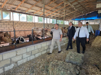 Goranboyda Dövlət Proqramının icrası çərçivəsində heyvandarlıq sahəsində maarifləndirici tədbir keçirildi