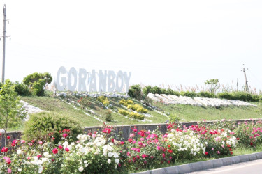 Gülə, çiçəyə bürünən Goranboy