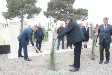 Goranboyda “08 noyabr –Zəfər Günü” ilə bağlı növbəti ağacəkmə aksiyası keçirildi