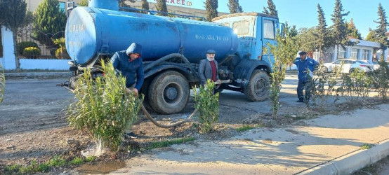 Goranboyda, "Yaşıl dünya naminə həmrəylik ili" ilə bağlı, yeni yaşıllıq zolaqlarının salınması, mövcud infrastrukturun genişləndirilməsi və aqrotexniki qulluğun göstərilməsi işləri davam etdirilir.