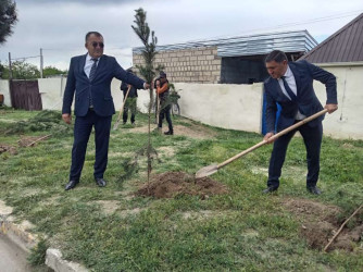 Goranboyda “Şəhərsalma və Memarlıq İli” çərçivəsində Ümummilli Lider Heydər Əliyevin anadan olmasının 103-cü ildönümü ilə bağlı ağacəkmə aksiyası keçirildi