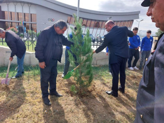 Goranboyda, “27 sentyabr – Anım Günü” ilə bağlı ağacəkmə aksiyası keçirildi.