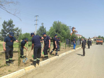 Goranboyda, "Yaşıl dünya naminə həmrəylik ili" ilə bağlı, növbəti ağacəkmə aksiyası keçirildi.