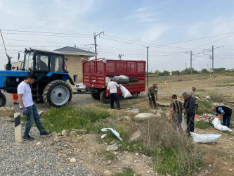 Goranboyda növbəti iməcilik keçirildi,  yolətrafı ərazilərdə abadlıq, təmizlik işləri aparıldı, yeni salınmış yaşıllıq zolaqlarına aqrotexniki qulluq göstərildi