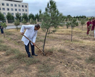 Goranboyda "Yaşıl dünya naminə həmrəylik ili" ilə bağlı, silsilə tədbirlər davam etdirilir.