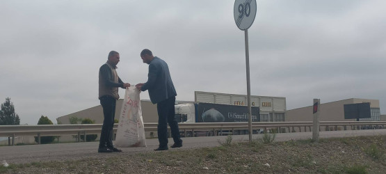 Goranboyda növbəti iməcilik keçirildi,  yolətrafı ərazilərdə abadlıq, təmizlik işləri aparıldı, yeni salınmış yaşıllıq zolaqlarına aqrotexniki qulluq göstərildi