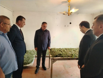 Goranboyda baramaçılıq inkişaf etdirilir