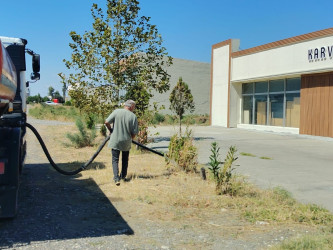 Goranboyda “Şəhərsalma və Memarlıq ili “ çərçivəsində yol kənarlarında əkilmiş ağaclara aqrotexniki qulluq göstərilir və suvarılma işləri aparılır