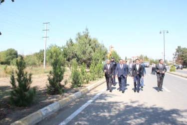 Goranboyda  “27 sentyabr –Anım Günü” ilə bağlı ağacəkmə aksiyası keçirildi