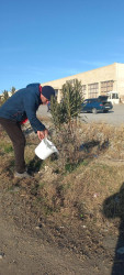 Goranboyda, "Yaşıl dünya naminə həmrəylik ili" ilə bağlı, yeni salınmış yaşıllıq zolaqlarına aqrotexniki qulluq işləri davam etdirilir.