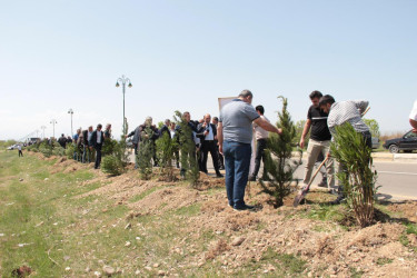 Goranboyda,  “Yaşıl dünya naminə həmrəylik ili” ilə bağlı, rayon İcra Hakimiyyətinin  Tədbirlər Planına uyğun olaraq, növbəti ağacəkmə aksiyası  təşkil olundu.