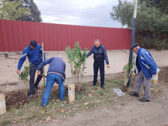 "Yaşıl dünya naminə həmrəylik ili" çərçivəsində  Qızılhacılı qəsəbəsində həyata keçirilən ağacəkmə aksiyasında qəsəbə sakinləri fəal iştirak etdilər.