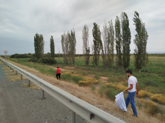 Goranboyda yol kənarında ağaclar suvarıldı, məişət tullantıları təmizləndi