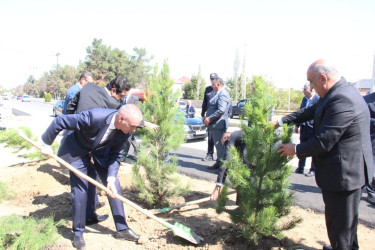 Goranboyda  “27 sentyabr –Anım Günü” ilə bağlı ağacəkmə aksiyası keçirildi