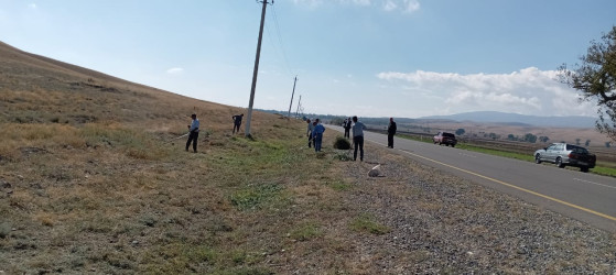 Goranboyda əsas turizm marşurutları üzrə yolkənarı ərazilərdə növbəti ümumrayon iməciliyi təşkil olundu