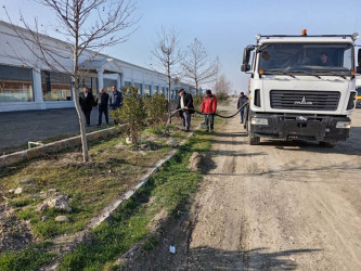 Goranboyda yeni salınmış yaşıllıq zolaqlarına aqrotexniki qulluq işləri davam etdirilir