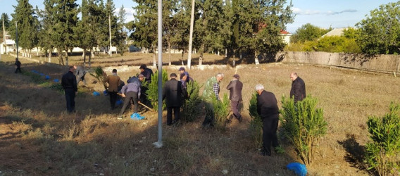 Goranboyda, "Yaşıl dünya naminə həmrəylik ili" çərçivəsində, yolkənarı ərazilərdə həyata keçirilən ağac əkini işləri davam etdirilir.