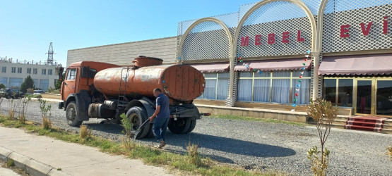 Goranboyda yeni salınmış yaşıllıq zolaqlarına aqrotexniki qulluq işləri davam etdirilir