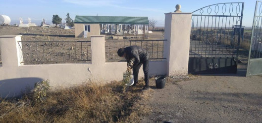 Goranboyda, "Yaşıl dünya naminə həmrəylik ili" ilə bağlı, yeni salınmış yaşıllıq zolaqlarına aqrotexniki qulluq işləri davam etdirilir.