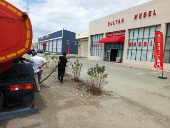 Goranboyda yeni salınmış yaşıllıq zolaqlarına aqrotexniki qulluğun göstərilməsi işləri davam etdirilir