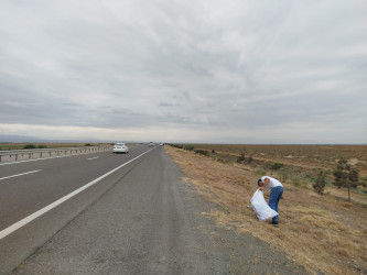 Goranboyda yol kənarında ağaclar suvarıldı, məişət tullantıları təmizləndi