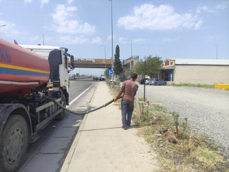 Goranboyda yolkənarı ərazilərin məişət tullantılarından təmizlənməsi işləri aparıldı, ağac və gül kolları suvarıldı