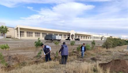 Goranboyda, "Yaşıl dünya naminə həmrəylik ili" çərçivəsində, yolkənarı ərazilərin abadlaşdırılması məqsədi ilə həyata keçirilən ağac əkini işləri davam etdirilir.