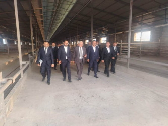 Goranboyda “2026–2030-cu illər üçün Dövlət Proqramı”-nın icrası uğurlu davam edir