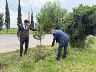 Goranboyda “Şəhərsalma və Memarlıq İli” çərçivəsində Ümummilli Lider Heydər Əliyevin anadan olmasının 103-cü ildönümü ilə bağlı ağacəkmə aksiyası keçirildi