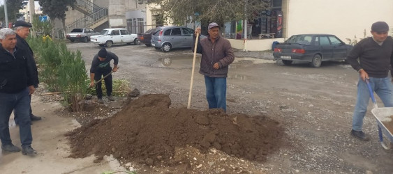 "Yaşıl dünya naminə həmrəylik ili" çərçivəsində, Goran qəsəbəsi ərazisində növbəti ağac əkini işləri həyata keçirildi.