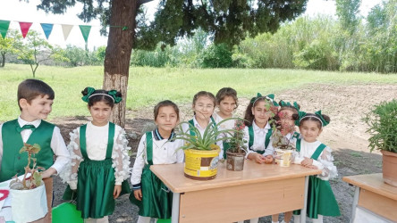 "Yaşıl dünya naminə həmrəylik ili" ilə bağlı Səfikürd kənd tam orta məktəbində tədbir keçirildi