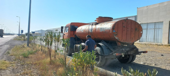Goranboyda yeni salınmış yaşıllıq zolaqlarına aqrotexniki qulluq işləri davam etdirilir