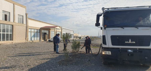 Goranboyda, "Yaşıl dünya naminə həmrəylik ili" ilə bağlı, yeni salınmış yaşıllıq zolaqlarına aqrotexniki qulluğun göstərilməsi işləri davam etdirilir.