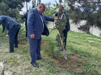 Goranboyda “Şəhərsalma və Memarlıq İli” çərçivəsində Ümummilli Lider Heydər Əliyevin anadan olmasının 103-cü ildönümü ilə bağlı ağacəkmə aksiyası keçirildi