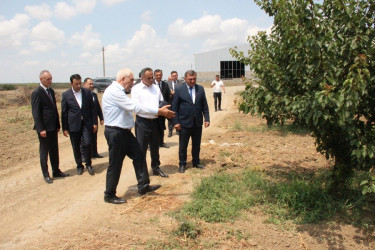 Goranboyda aqrar sahənin inkişafı istiqamətində görülən işlərlə tanışlıq davam edir