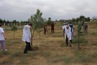 Goranboyda "Yaşıl dünya naminə həmrəylik ili" ilə bağlı, silsilə tədbirlər davam etdirilir.