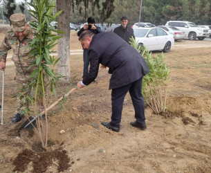 Goranboyda,  Ümummilli Liderimiz Heydər Əliyevin Anım Günü ilə bağlı,  ağacəkmə aksiyası keçirildi