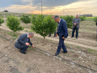 Goranboyda fermerlərlə maarifləndirici görüş keçirildi