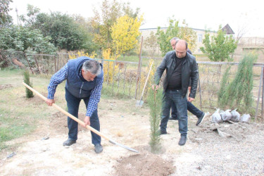 Goranboyda “08 noyabr –Zəfər Günü” ilə bağlı növbəti ağacəkmə aksiyası keçirildi