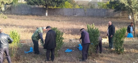 Goranboyda, "Yaşıl dünya naminə həmrəylik ili" çərçivəsində, yolkənarı ərazilərdə həyata keçirilən ağac əkini işləri davam etdirilir.