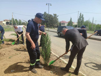 Goranboyda, "Yaşıl dünya naminə həmrəylik ili" ilə bağlı, növbəti ağacəkmə aksiyası keçirildi.