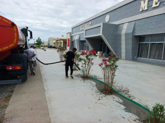 Goranboyda yeni salınmış yaşıllıq zolaqlarına aqrotexniki qulluğun göstərilməsi işləri davam etdirilir