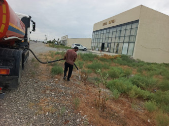 Goranboyda yol kənarında ağaclar suvarıldı, məişət tullantıları təmizləndi