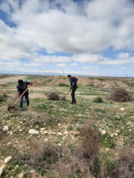 Goranboy rayonunda abadlıq və təmizlik işləri davam etdirilir